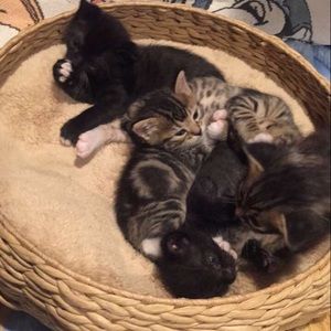 Meet your Posher, Zee